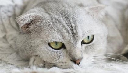 格尔木伴游，定制QQ：3494206190微信：act1322